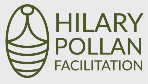 Hilary Pollan Facilitation