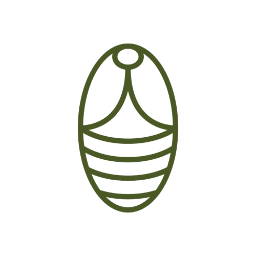 Icon of a green chyrsalis